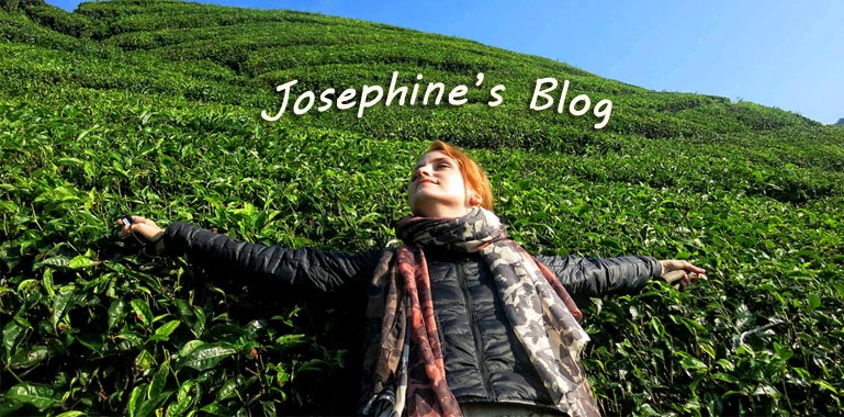 Josephines Spirit Blog
